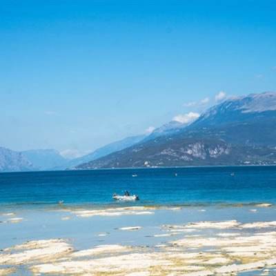 ManBetX手机网页版登录注册