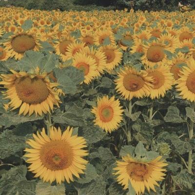 星空app官方下载最新版本