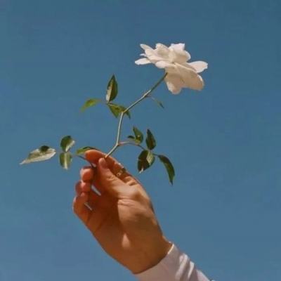 爱游戏app手机版