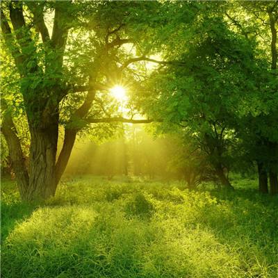 快彩乐首页截图